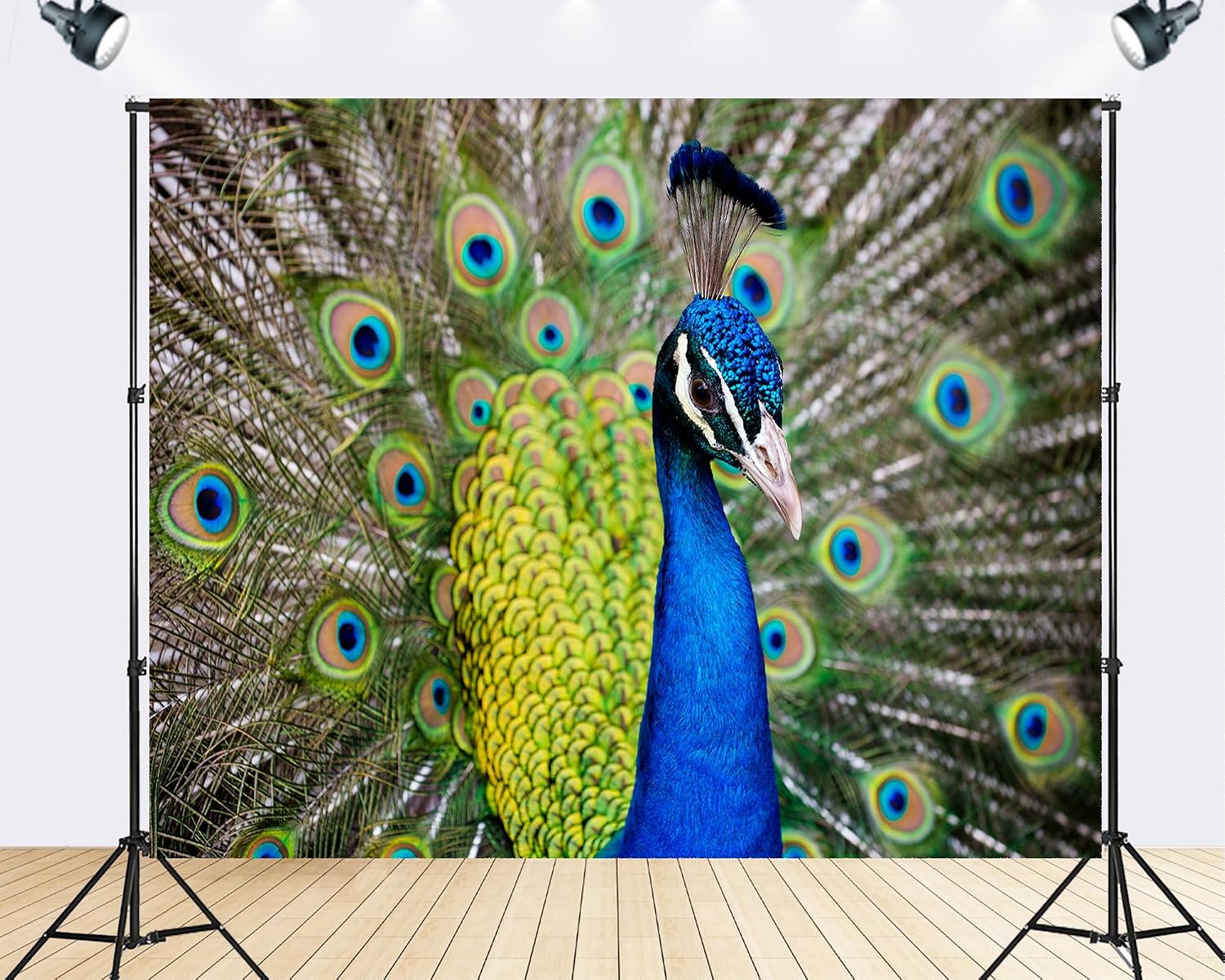 Trykid 20x10ft Vibrant Blue Peacock Feather Backdrop Exotic Tropical Bird Wildlife Beauty Photography Background Tropical Party Decoration Tapestry Photo Booth Prop Fabric