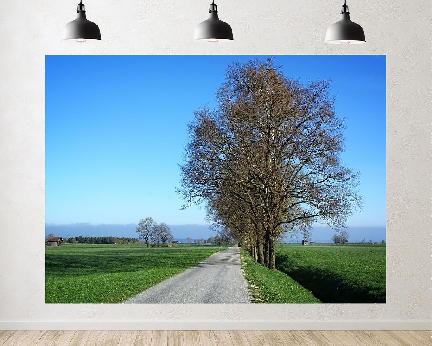 Trykid 20x10ft Tree Lined Country Road Green Fields Backdrop Rural Landscape Clear Sky Photography Background Travel Adventure Decor Party Decoration Photo Booth Prop Fabric