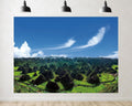 Trykid 20x10ft Karst Peak Forest Rural Backdrop Scenic Green Rice Paddy Rolling Hills Clear Sky Photography Background Farm Themed Party Decoration Photo Booth Prop Fabric