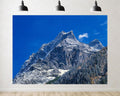 Trykid 20x10ft Jagged Rocky Snow-Capped Peaks Backdrop Clear Blue Sky Lush Dense Forest Majestic Mountain Scene Photography Background Nature Inspired Party Decoration Photo Booth Prop Fabric