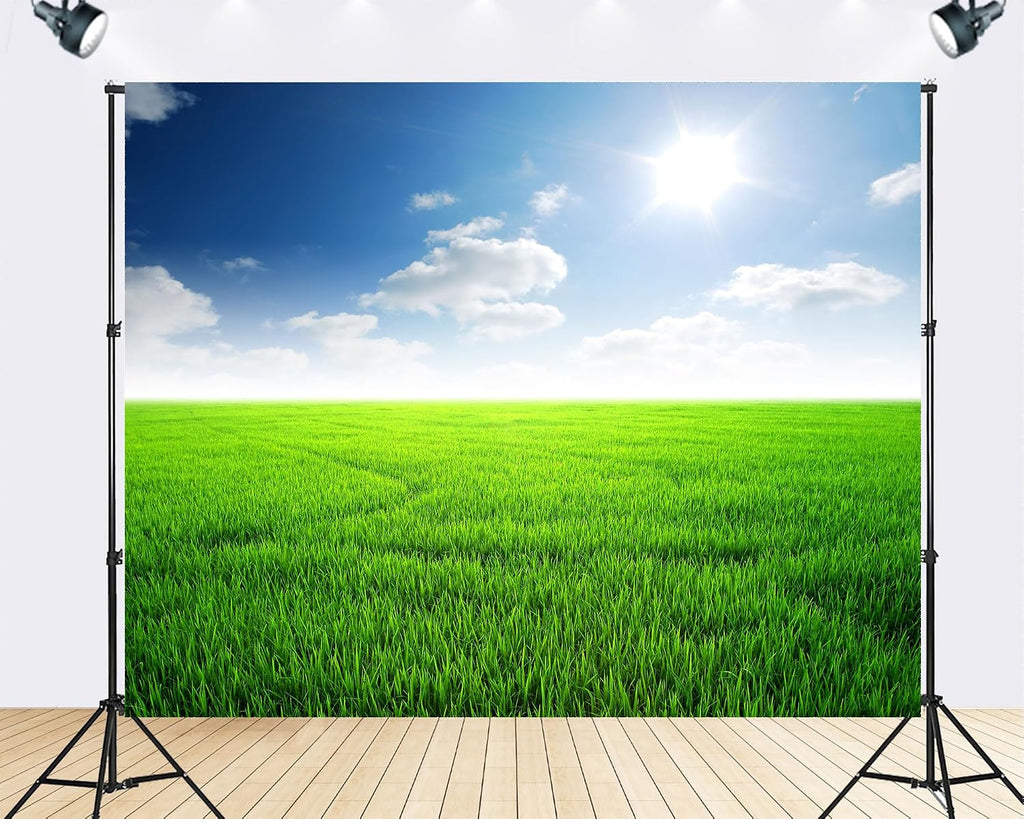 Trykid 20x10ft Sunlit Green Field Backdrop Clear Blue Sky Vast Grassland Bright Sunshine Photography Background Nature Shoots Tapestry Party Decoration Photo Studio Prop Fabric