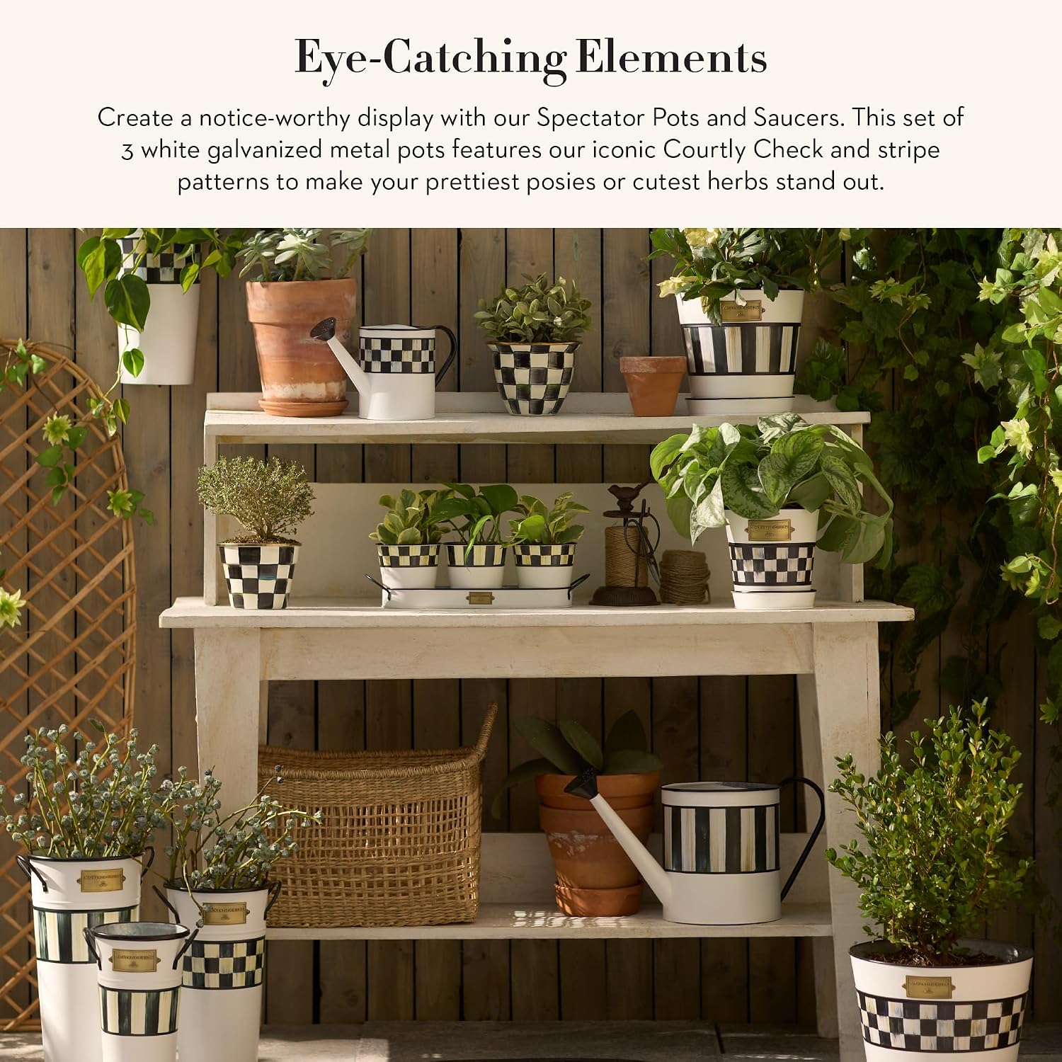 MACKENZIE-CHILDS Galvanized Flowerpots and Saucers, Set of 3, Black-and-White Spectator