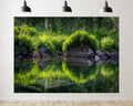 Trykid 20x10ft Lush Green Forest Stream Backdrop with Clear Reflections and Rocky Banks Photography Background Natural Home Decor Wilderness Party Decoration Photo Booth Prop Fabric