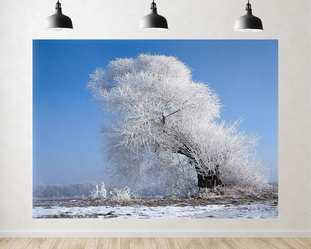 Trykid 20x10ft Frosted Tree Clear Blue Sky ICY Backdrop Delicate Crystals Serene View Photography Background for Wedding Party Event Decoration Photo Booth Prop Fabric