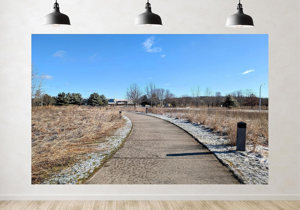 Trykid 20x10ft Frosty Winter Path Backdrop Brown Dry Grass Concrete Trail Clear Blue Sky Scene Photography Background Outdoor Hiking Birthday Party Decoration Photo Booth Prop Fabric