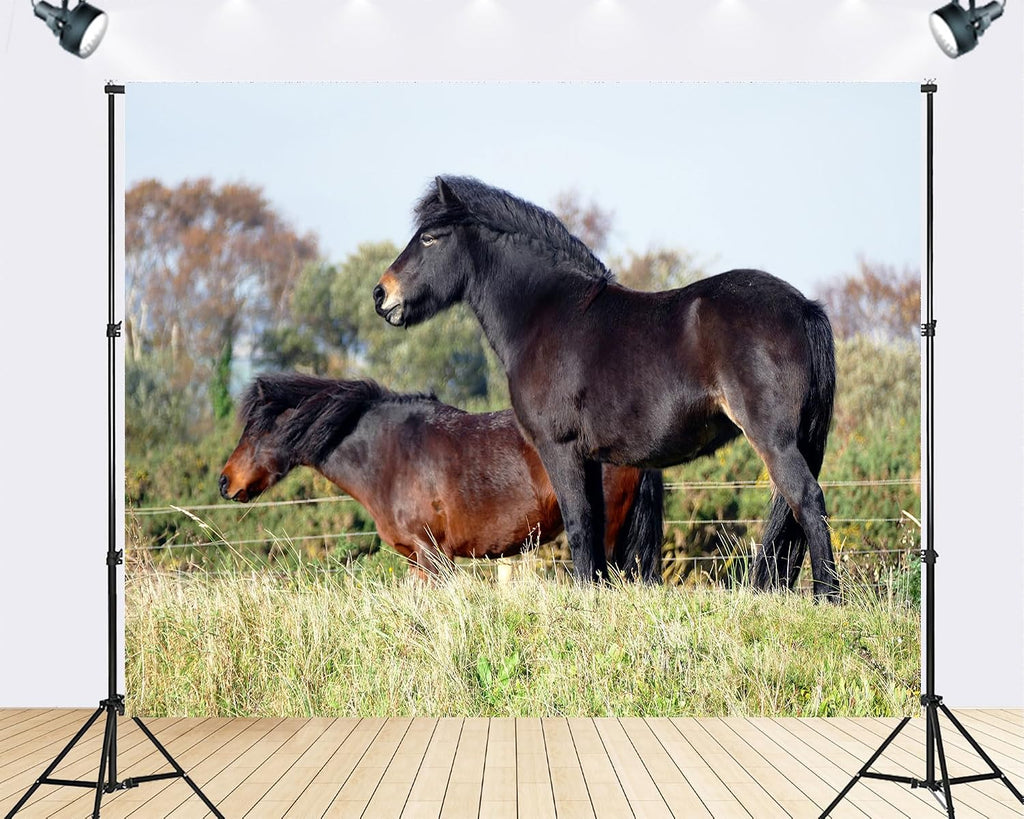Trykid 20x10ft Black Brown Pony Backdrop Lush Green Pasture Clear Sky Equestrian Scene Photography Background Countryside Farm Tapestry Party Decoration Photo Studio Prop Fabric