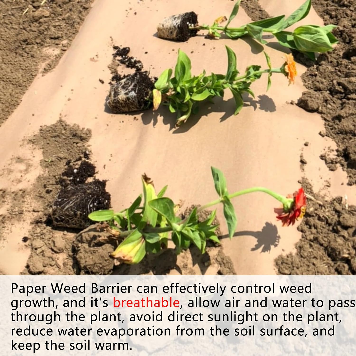 Biodegradable Weed Barrier, Heavy Duty Garden Paper Weed Biodegradable Landscape Fabric Paper Weed Barrier Paper Mulch Rolls for Weeds, Paper Mulch Rolls Garden Paper for Outdoor Garden Lawn (4x300ft)