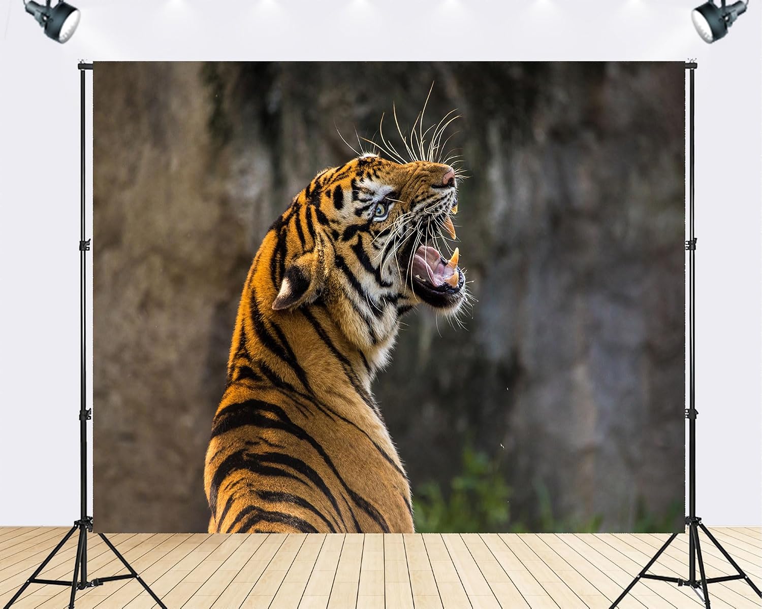 Trykid 20x10ft Tiger Striped Wildlife Backdrop Majestic Orange Black Fur Photography Background Safari Adventure Nature Party Decoration Tapestry Photo Booth Prop Fabric