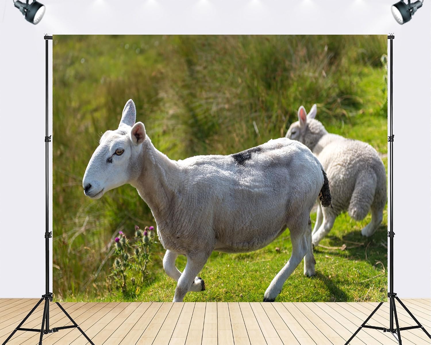 Trykid 20x10ft Spotted White Sheep Backdrop Lamb Companion Wild Grassland Rural Scene Photography Background Countryside Pastoral Life Party Decoration Tapestry Photo Booth Prop Fabric