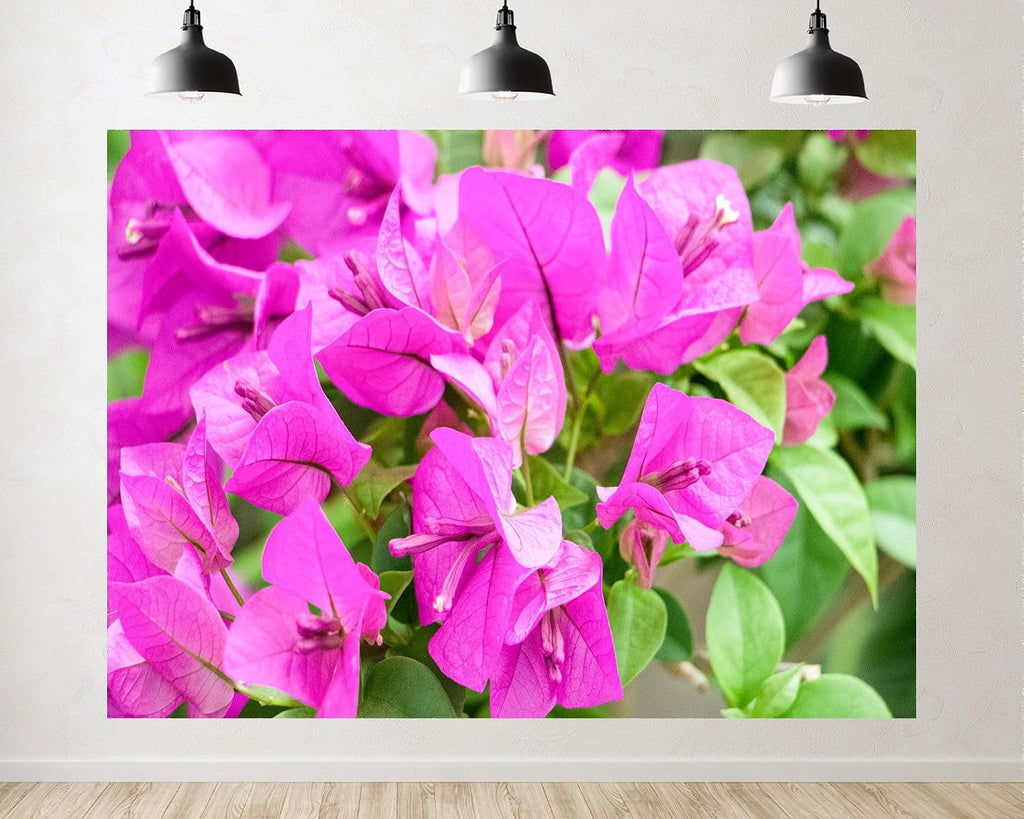 Trykid 20x10ft Pink Bougainvillea Flower Closeup Backdrop Vibrant Floral Texture Photography Background Spring Wedding Party Decoration Tapestry Photo Booth Prop Fabric