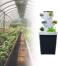 Hydroponics Growing System 30-Plant Kit: Indoor Vertical Farming Tower Home Gardening Essentials Aeroponic Tower for Herbs Fruits Vegetable(15holes)