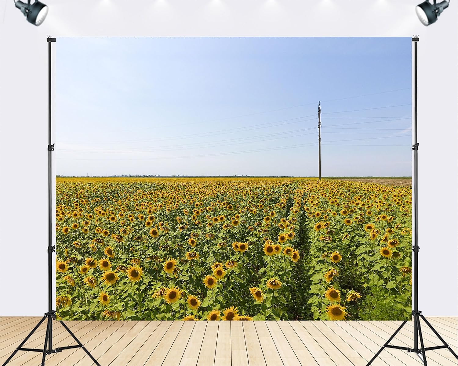Trykid 20x10ft Sunflower Field Backdrop Golden Blooms Clear Blue Sky Landscape Photography Background Summer Outdoor Party Decoration Farm Event Photo Booth Prop Fabric
