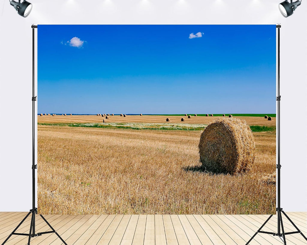 Trykid 20x10ft Hay Bale Wheat Field Backdrop Scenic Round Bales Clear Blue Sky Harvest Landscape Photography Background Farm Themed Party Decoration Photo Booth Prop Fabric