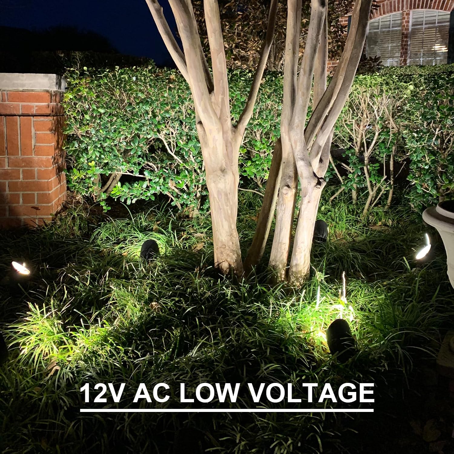 GOODSMANN Landscape Lighting Kits Low Voltage Spot Lights 8PK Landscape Flood Light 3W LED 200 Lumen Metal Landscape Lights 12V AC Tree Lights 3000K Warm White with Replaceable Bulbs Cable Connectors