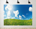 Trykid 20x10ft Dandelion Meadow Backdrop Lush Green Grass Bright Yellow Blooms Clear Blue Sky Photography Background Spring Wedding Garden Party Decoration Photo Booth Prop Fabric