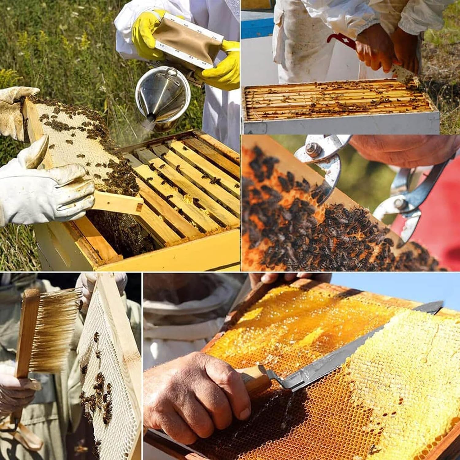 Professional Beehive Tools 11 Pieces, Beekeeping Starter kit with Large case, Essential Beehive Supplies for Beekeepers