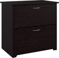 Bush Home Cabot 2 Drawer Lateral File Cabinet in Espresso Oak, Home Office Chest for Letter, Legal, and A4-size Document Storage