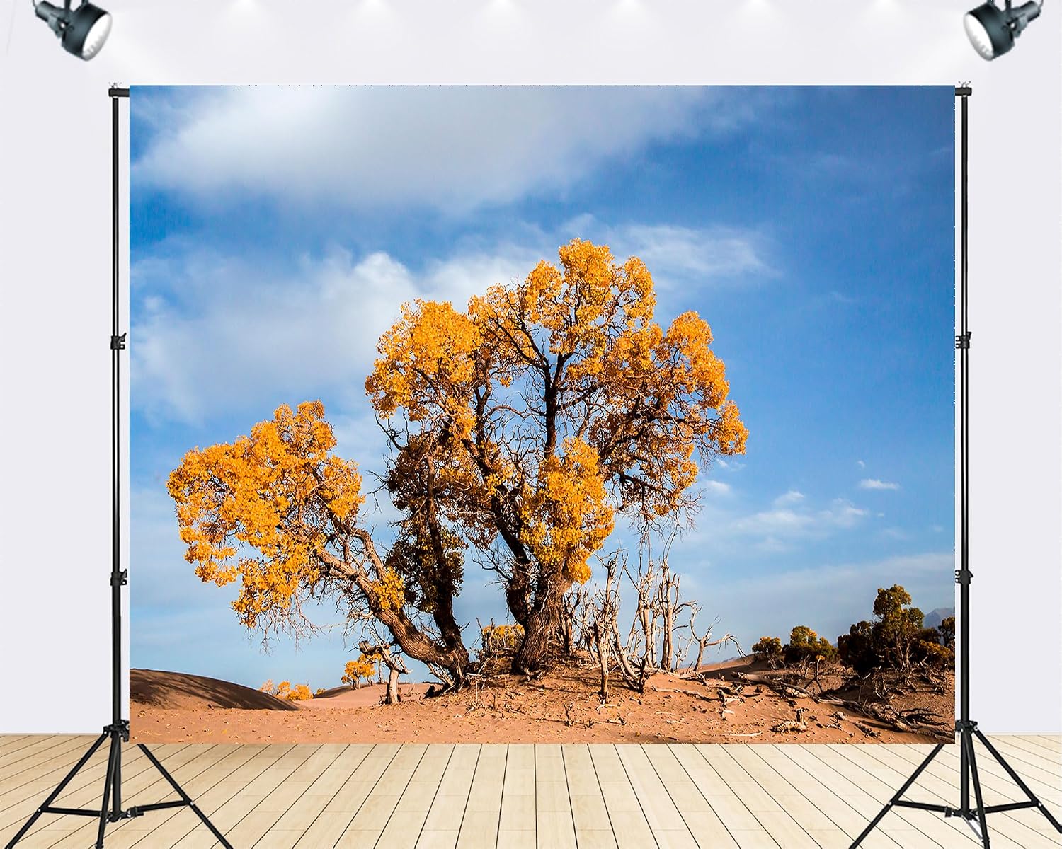 Trykid 20x10ft Desert Poplar Golden Tree Backdrop Bright Golden Clear Blue Rough Sandland Wild Natural Scenery Photography Background Autumn Theme Party Decoration Photo Booth Prop Fabric