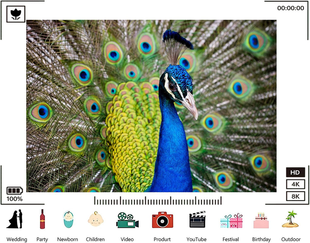 Trykid 20x10ft Vibrant Blue Peacock Feather Backdrop Exotic Tropical Bird Wildlife Beauty Photography Background Tropical Party Decoration Tapestry Photo Booth Prop Fabric