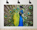 Trykid 20x10ft Vibrant Blue Peacock Feather Backdrop Exotic Tropical Bird Wildlife Beauty Photography Background Tropical Party Decoration Tapestry Photo Booth Prop Fabric