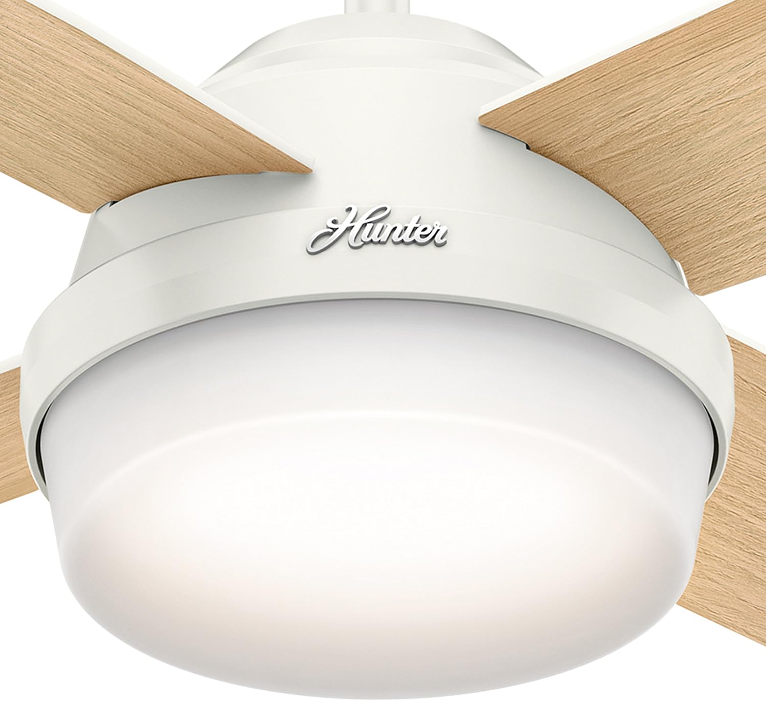Hunter Fan 44 inch Contemporary Ceiling Fan with LED light kit and Remote Control included (Renewed)