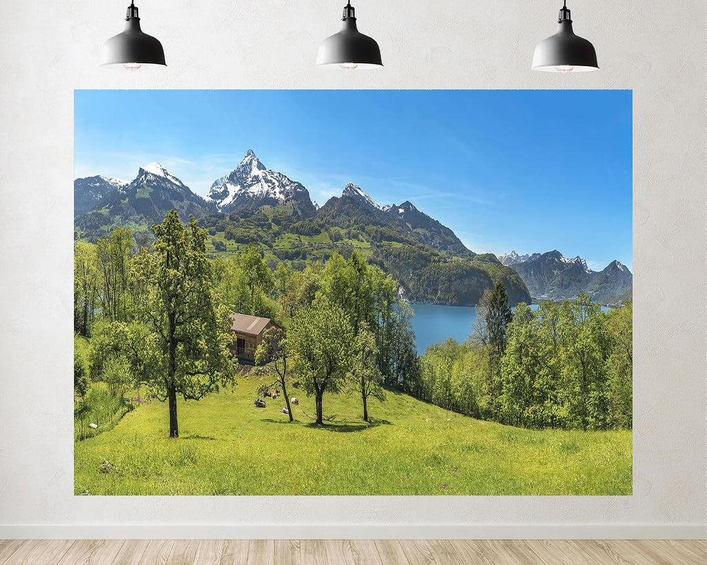 Trykid 20x10ft Alpine Lake Snow Mountain Backdrop Fresh Green Forest Clear Water Peak View Natural Landscape Photography Background Travel Theme Shoot Party Decoration Photo Booth Prop Fabric