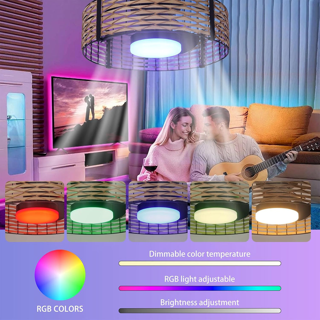 Ganeed 18W LED 20 Inch Dimmable Bamboo Rattan Fandelier, Boho Caged Ceiling Fan with Light and Remote, 6 Speed/Reversible Motor/RGB LED Small Ceiling Fan for Bedroom Living Room Kitchen Nursery