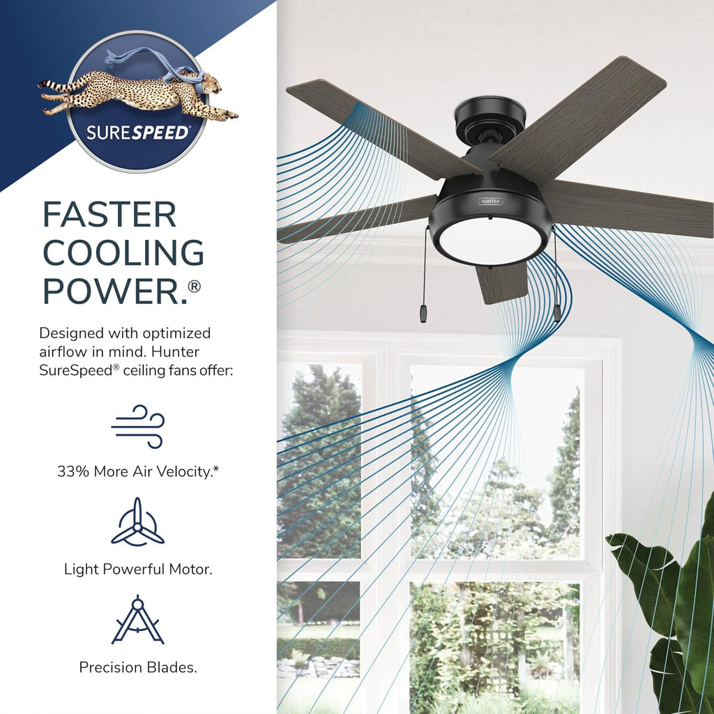 Hunter 44 inch Indoor Ceiling Fan with LED Light - Black Ceiling Fan with Pull Chain, For Bedroom or Living Room, Standard Mount, No Remote, 5 Blades, Includes Bulbs - Burroughs 51385, Matte Black