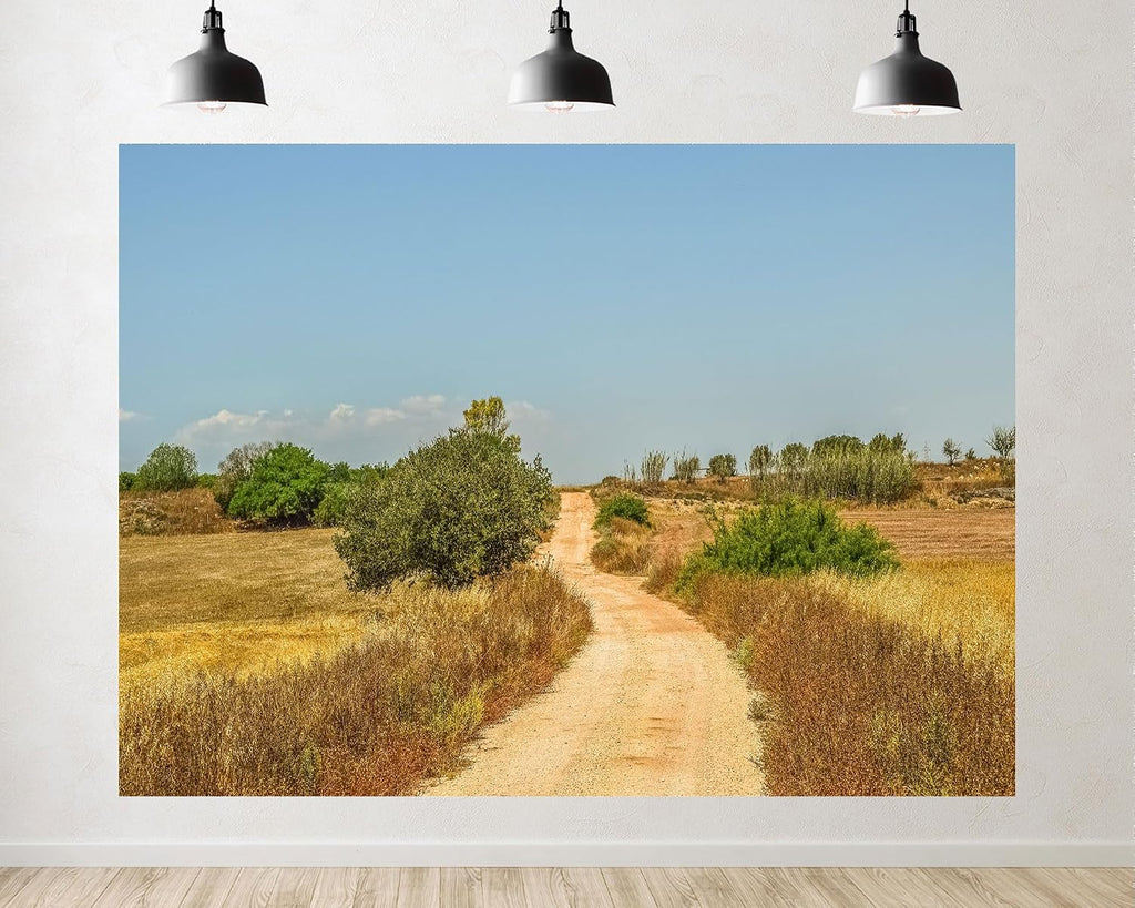 Trykid 20x10ft Rural Dirt Road Dry Vegetation Backdrop Countryside Clear Sky Landscape Photography Background Travel Adventure Decor Party Decoration Photo Booth Prop Fabric