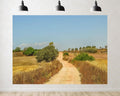 Trykid 20x10ft Rural Dirt Road Dry Vegetation Backdrop Countryside Clear Sky Landscape Photography Background Travel Adventure Decor Party Decoration Photo Booth Prop Fabric