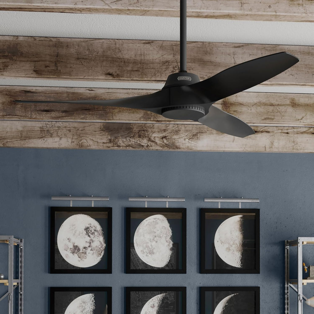 Hunter Fan 52 Inch Matte Black Ceiling Fan with 3 Blades, Indoor/Outdoor Ceiling Fan for Living Room, Bedroom, Farmhouse, Kitchen, Patio (Renewed)