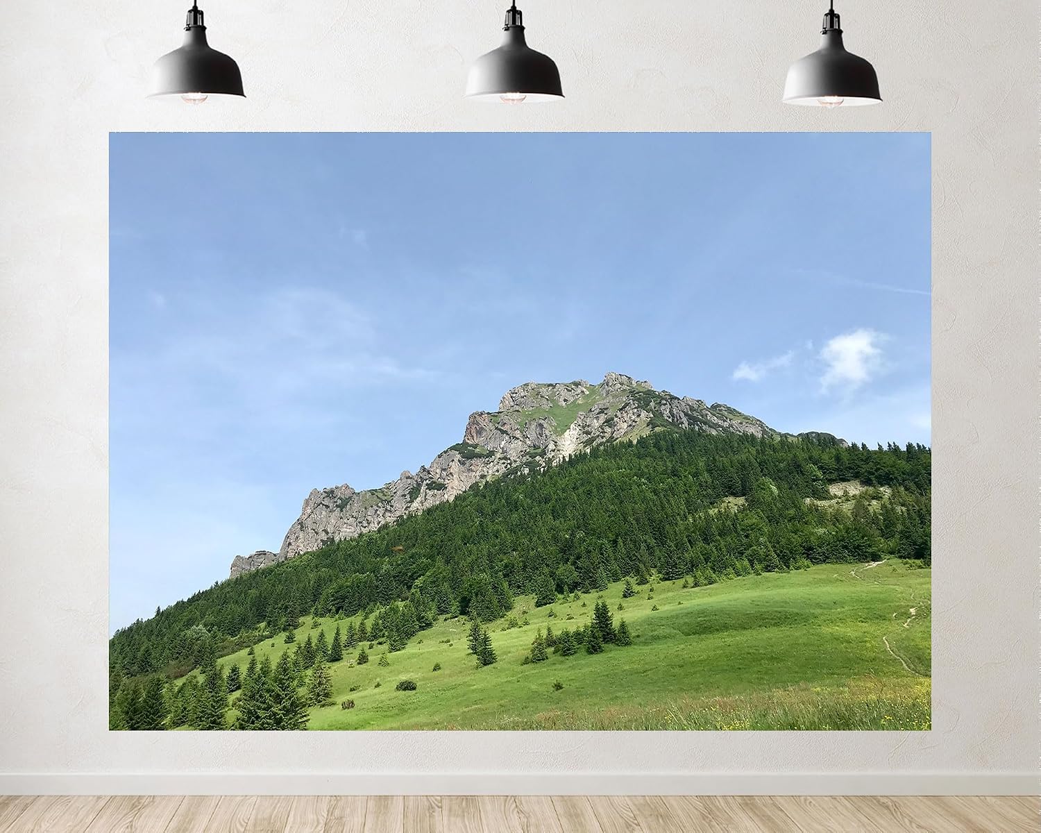 Trykid 20x10ft Rocky Mountain Peak Backdrop Lush Pine Forest Green Alpine Meadow Clear Blue Sky Scene Photography Background Camping Hiking Birthday Party Decoration Photo Booth Prop Fabric