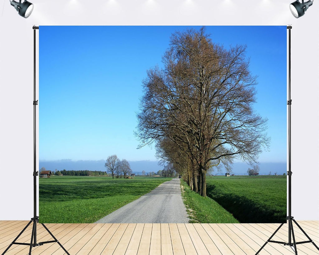 Trykid 20x10ft Tree Lined Country Road Green Fields Backdrop Rural Landscape Clear Sky Photography Background Travel Adventure Decor Party Decoration Photo Booth Prop Fabric
