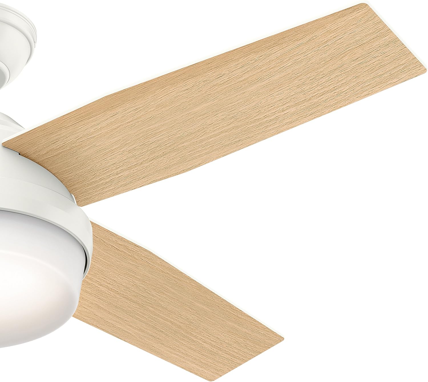 Hunter Fan 44 inch Contemporary Ceiling Fan with LED light kit and Remote Control included (Renewed)