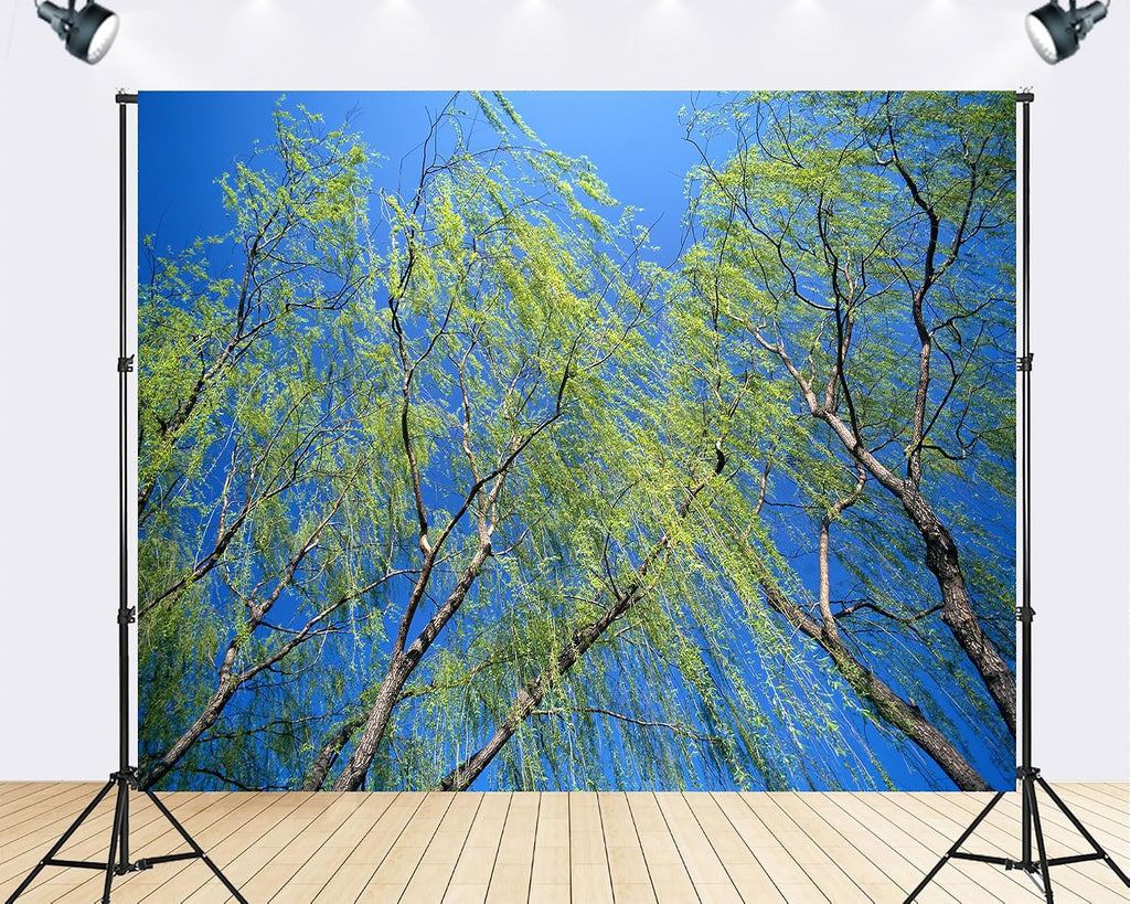 Trykid 20x10ft Weeping Willows Backdrop Green Branches Clear Blue Sky Flowing Foliage Lush Spring Scene Photography Background Nature Inspired Party Decoration Photo Booth Prop Fabric