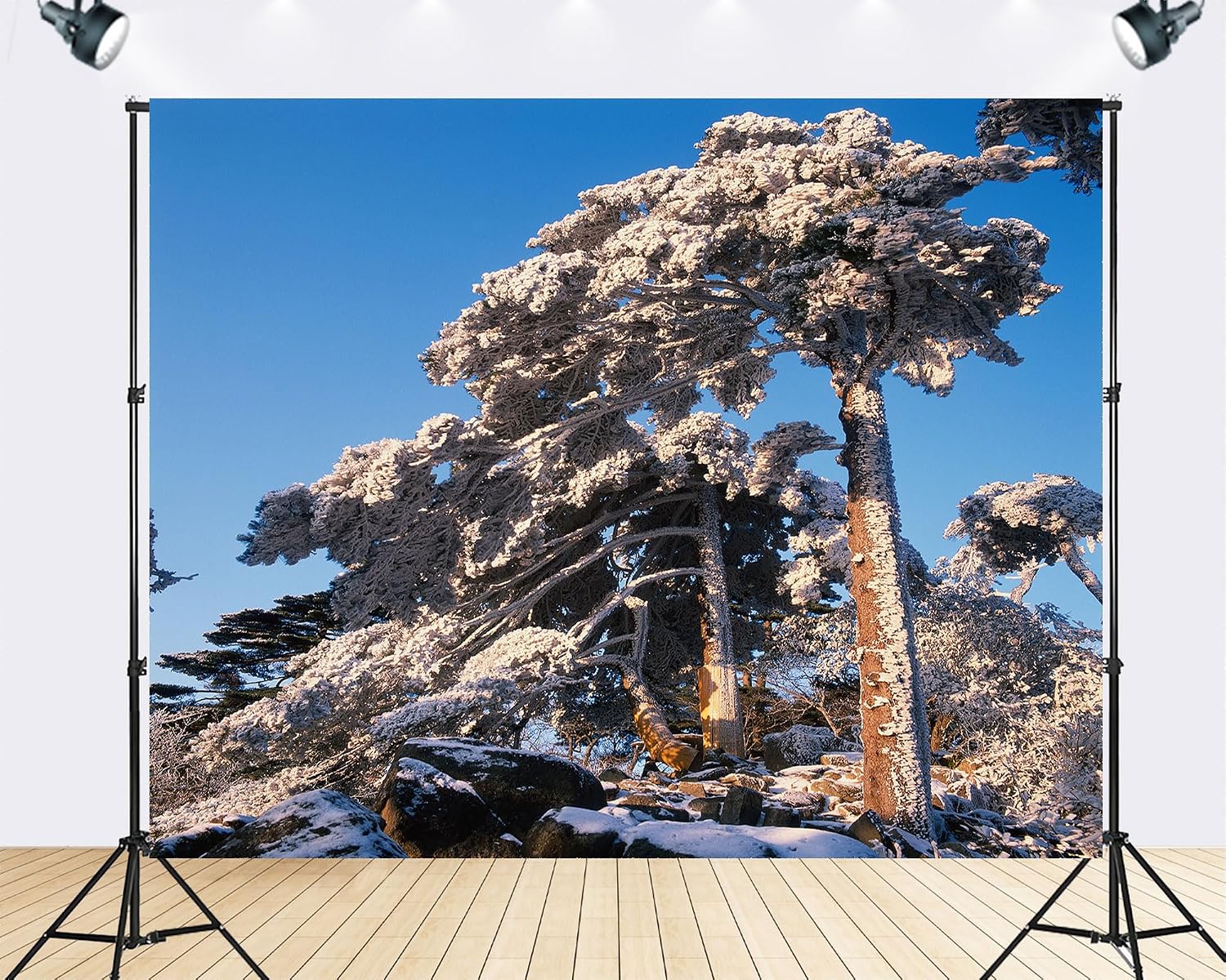 Trykid 20x10ft Snow Covered Pines Backdrop Clear Blue Sky Dense Forests Rocky Terrain Photography Background Countryside Wedding Event Party Decoration Photo Booth Prop Fabric
