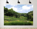 Trykid 20x10ft Lush Green Tea Terrace Backdrop Scenic Tiered Plantation Forested Mountain Clear Sky Photography Background Farm Themed Party Decoration Photo Booth Prop Fabric