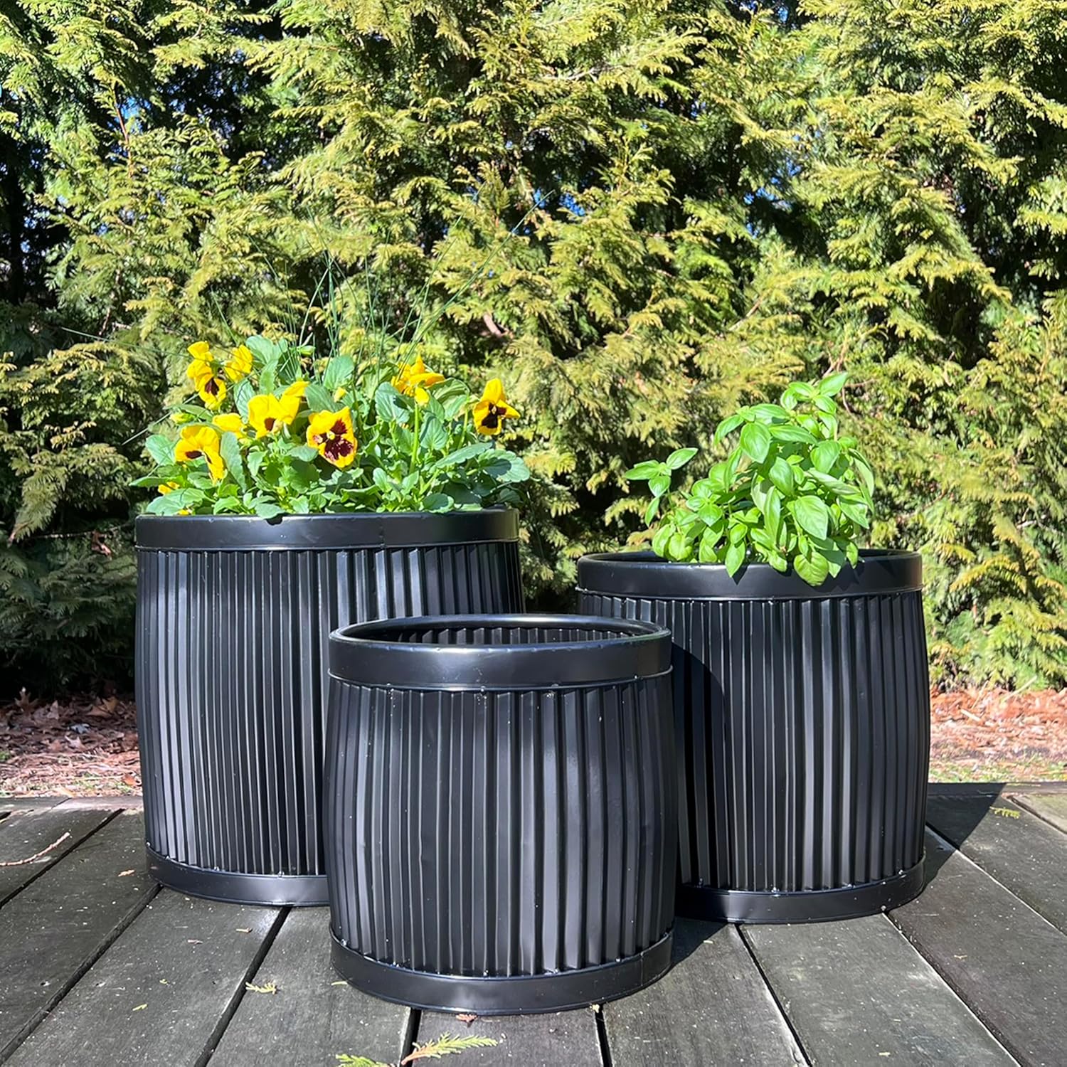 WHW Whole House Worlds French Country Style Belly Bucket Planters, Round, Set of 3, Iron, Glossy Black, Corrugated Cache Pots, Rustic, Large Capcity, from Over 1 Ft Diameter (17-12 Inches)