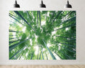 Trykid 20x10ft Green Bamboo Forest Backdrop Upward Sky View Tall Bamboo Pole Jungle Scenery Photography Background Natural Theme Party Decoration Photo Booth Prop Fabric