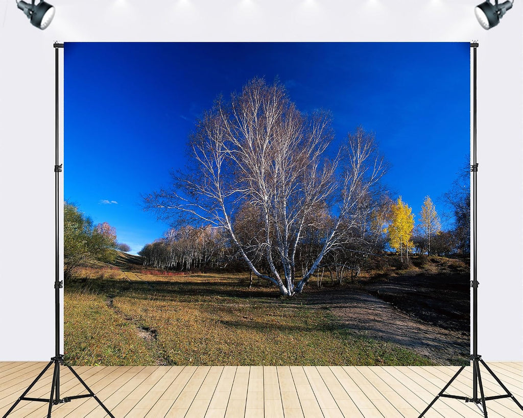 Trykid 20x10ft White Birch Trees Grassy Field Backdrop Clear Blue Sky Autumn Meadow Serene View Photography Background Wedding Event Decoration Photo Booth Prop Fabric