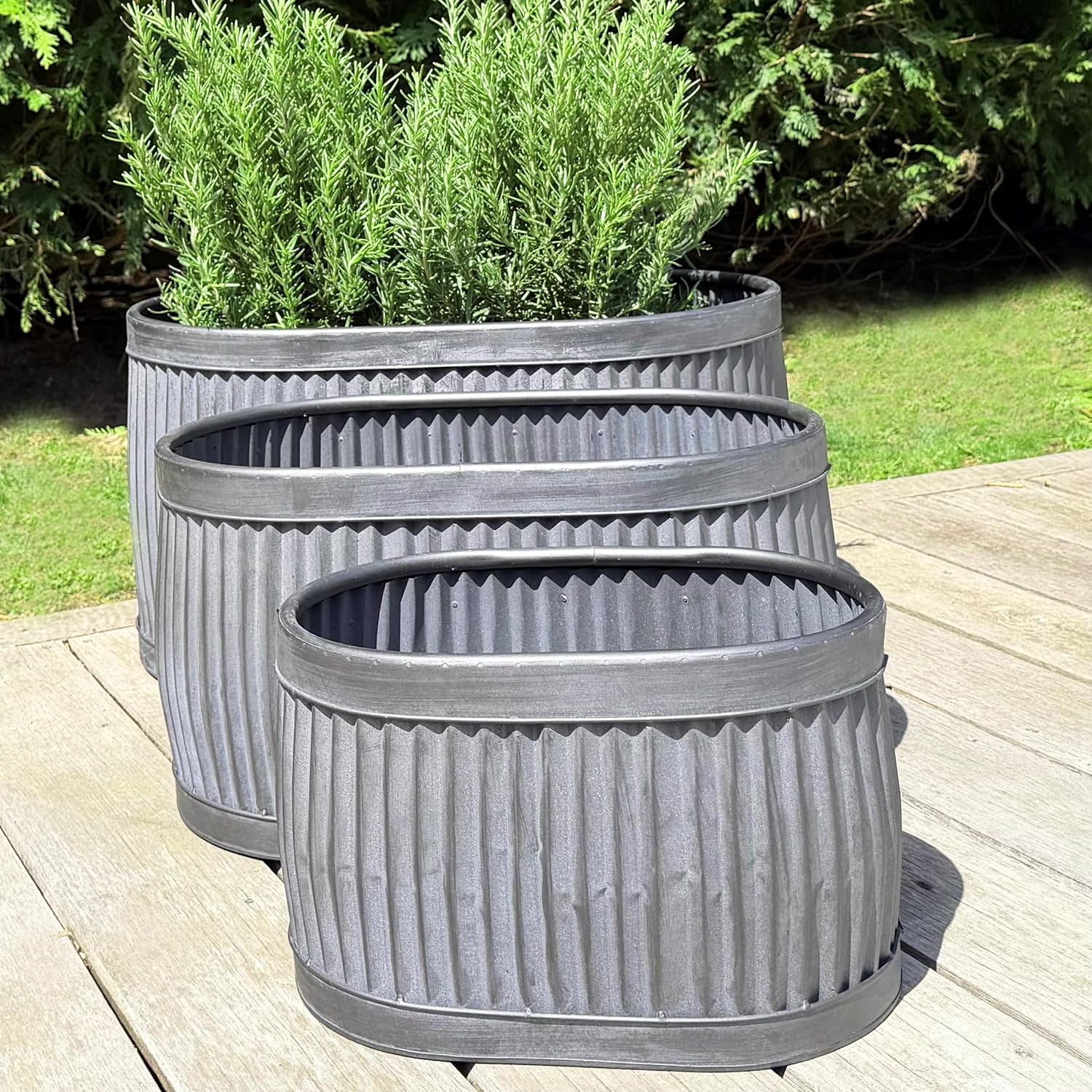 WHW Whole House Worlds French Country Style Oval Belly Planters, Set of 3, Galvanized Metal, Chubby, Corrugated Cache Pots, Rustic, Over 2 Ft Long (24 1/2, 20 and 14 1/2 Inches)