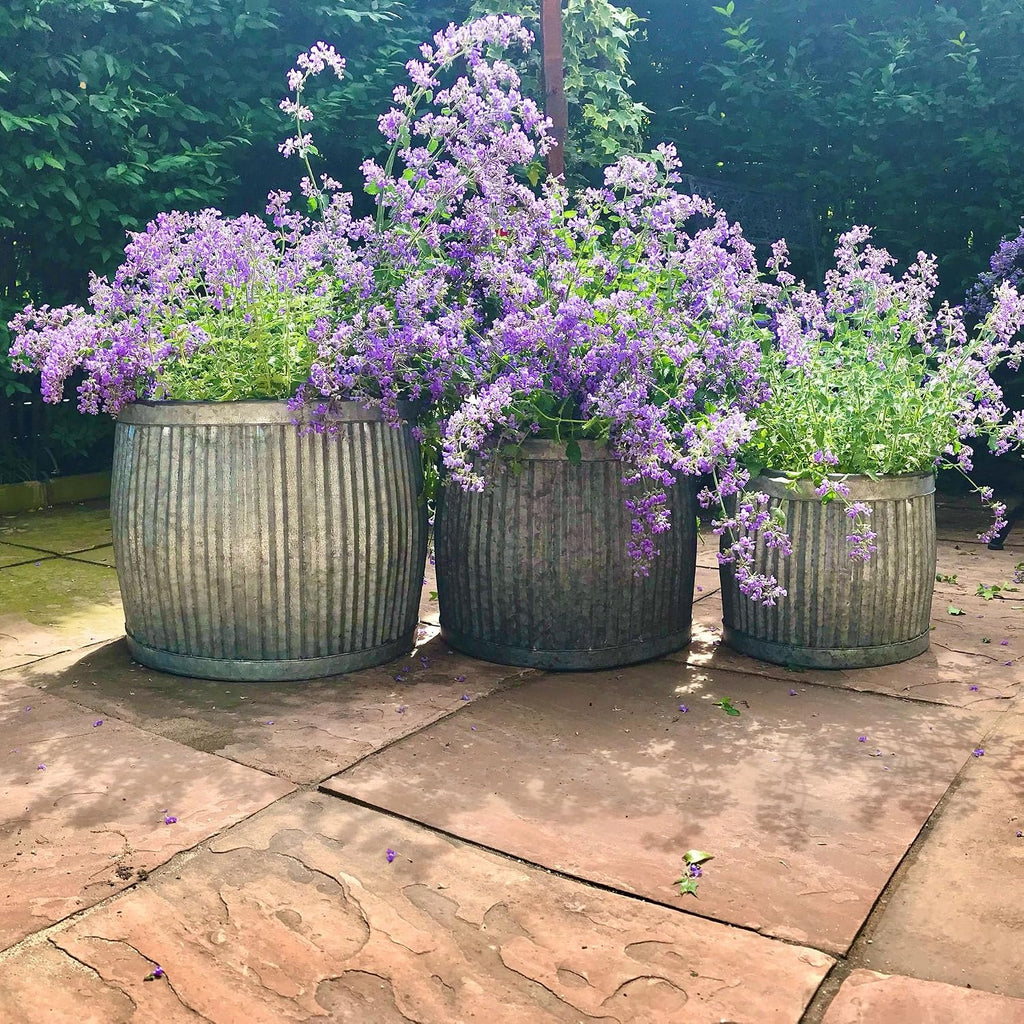 WHW Whole House Worlds French Country Style Belly Bucket Planters, Set of 3, Galvanized Metal, Corrugated Cache Pots, Rustic Wash Basin, from Over 1 Ft Diameter (17-12 Inches)