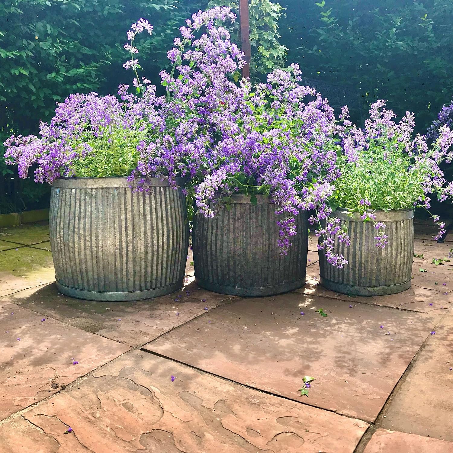 WHW Whole House Worlds French Country Style Belly Bucket Planters, Set of 3, Galvanized Metal, Corrugated Cache Pots, Rustic Wash Basin, from Over 1 Ft Diameter (17-12 Inches)