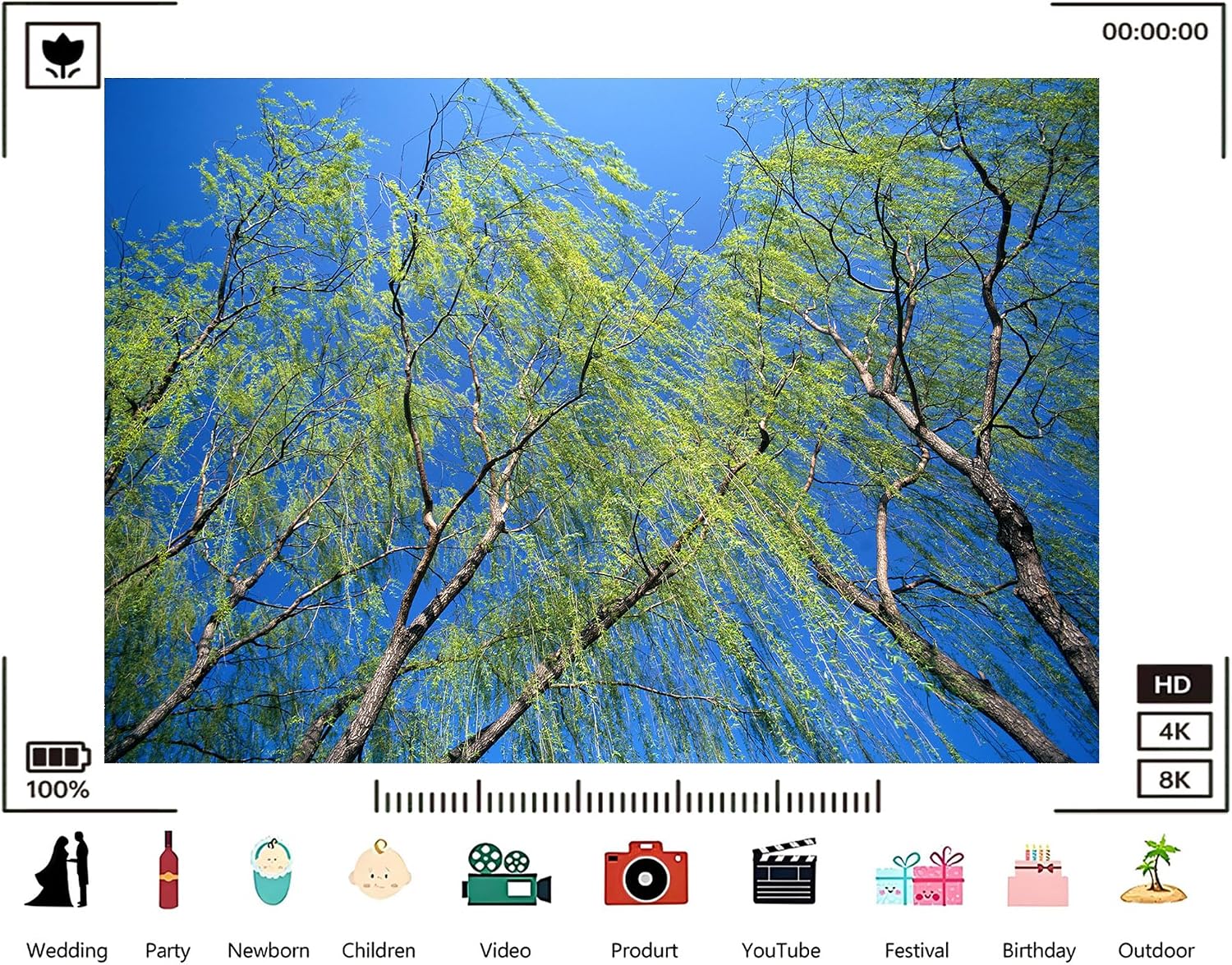 Trykid 20x10ft Weeping Willows Backdrop Green Branches Clear Blue Sky Flowing Foliage Lush Spring Scene Photography Background Nature Inspired Party Decoration Photo Booth Prop Fabric