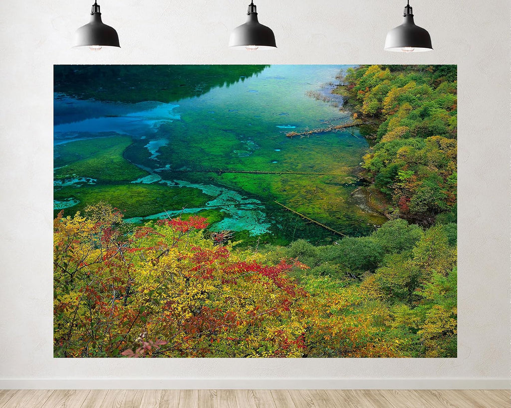 Trykid 20x10ft Turquoise Lake Autumn Foliage Backdrop Logs Trees Clear Water Expansive View Photography Background for Wedding Party Event Decoration Photo Booth Prop Fabric
