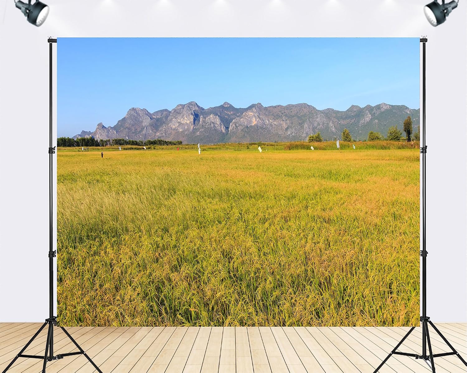 Trykid 20x10ft Golden Rice Field Backdrop Limestone Mountains Clear Blue Sky Rural Farmland Photography Background Country Party Decoration Photo Booth Prop Fabric