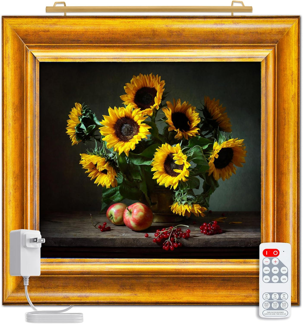 Situ Lighting: Plug-in Vision Series Remote Controlled LED Art and Picture Light - USA Made - 2700K