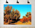 Trykid 20x10ft Golden Poplar Forest Backdrop Red Desert Bush Clear Blue Sky Wild Scenery Photography Background Autumn Travel Party Decoration Photo Booth Prop Fabric