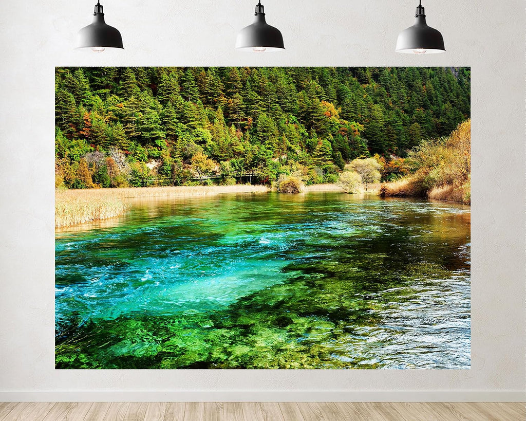 Trykid 20x10ft Turquoise River Backdrop Dense Evergreen Forests Autumn Foliage Clear Water Photography Background Nature Hiking Festival Wedding Party Decoration Photo Booth Prop Fabric
