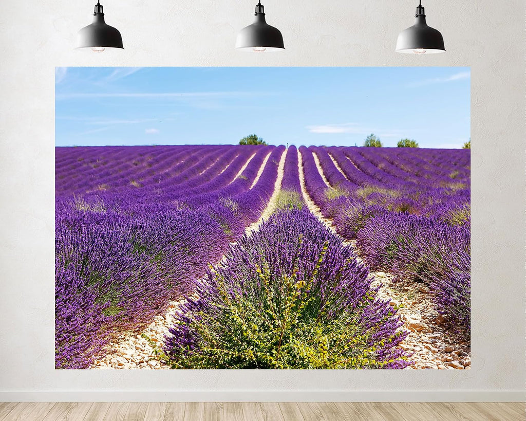 Trykid 20x10ft Lavender Field Backdrop Rows of Purple Blooms Gravel Paths Clear Blue Sky Photography Background Provence Style Festival Event Party Decoration Photo Booth Prop Fabric
